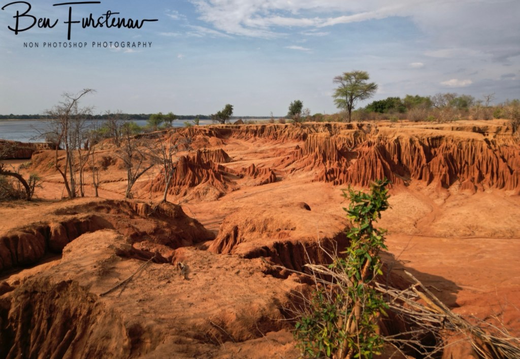 Lower Zambezi National Park, Chirundu, Zambia, Africa,