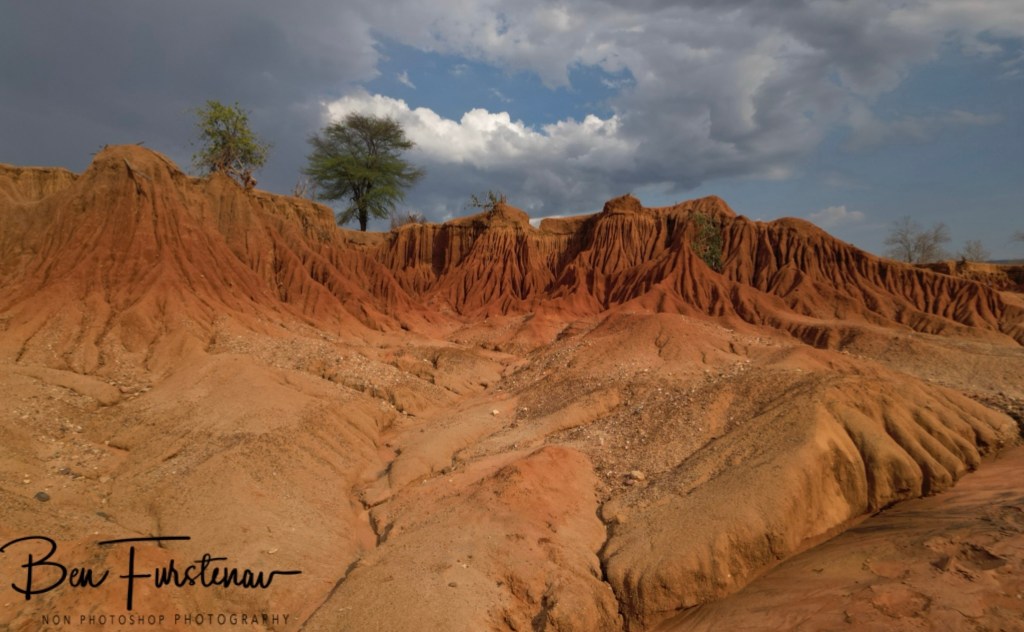 Lower Zambezi National Park, Chirundu, Zambia, Africa,