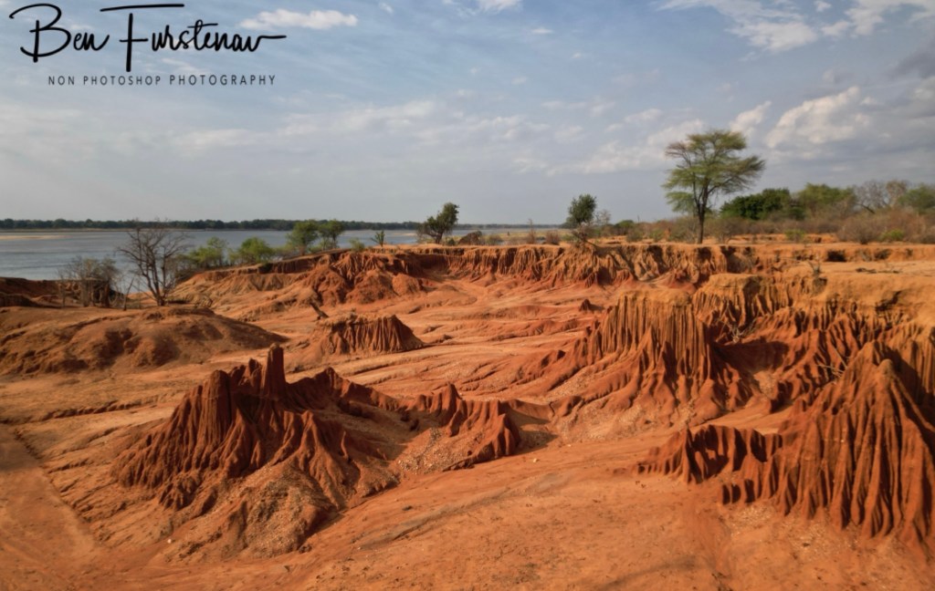 Lower Zambezi National Park, Chirundu, Zambia, Africa,