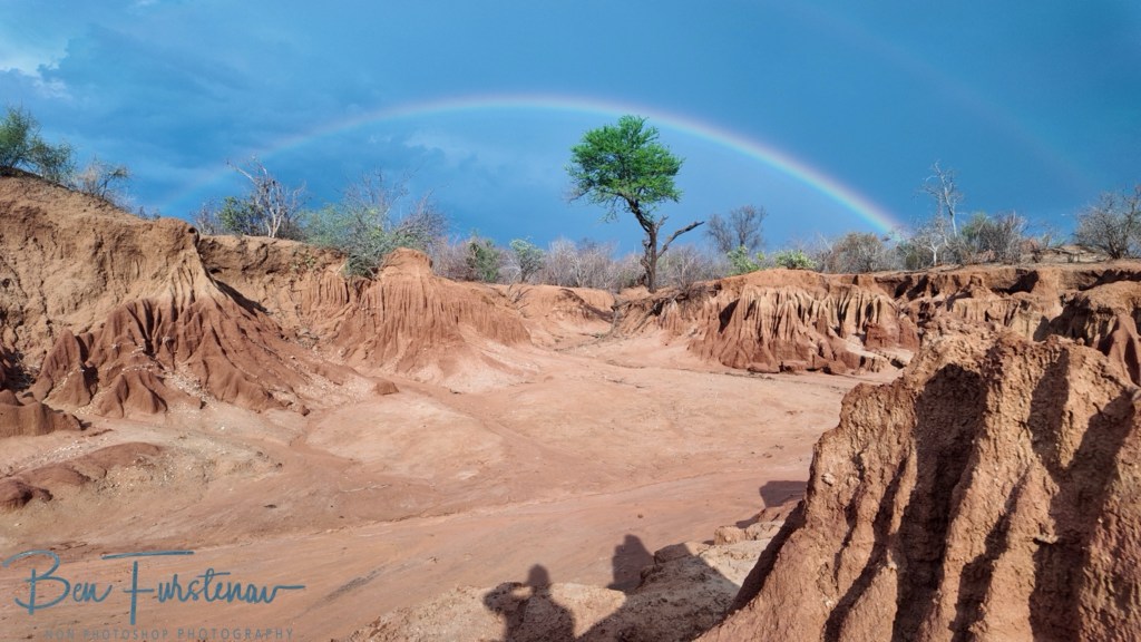 Lower Zambezi National Park, Chirundu, Zambia, Africa,
