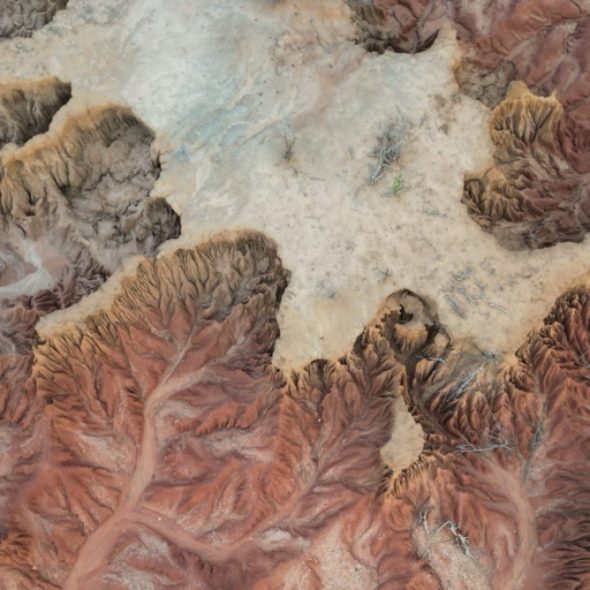 Lower Zambezi National Park, Chirundu, Zambia, Africa,