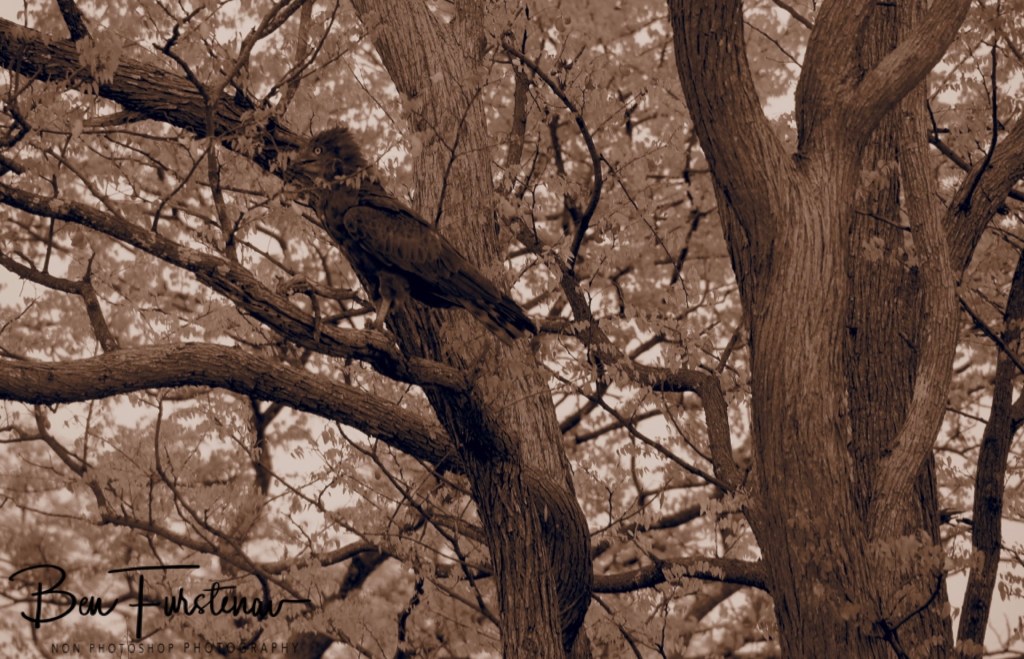 Livingstone, Zambia, Africa