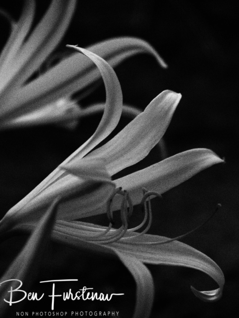 Livingstone, Zambia, Africa