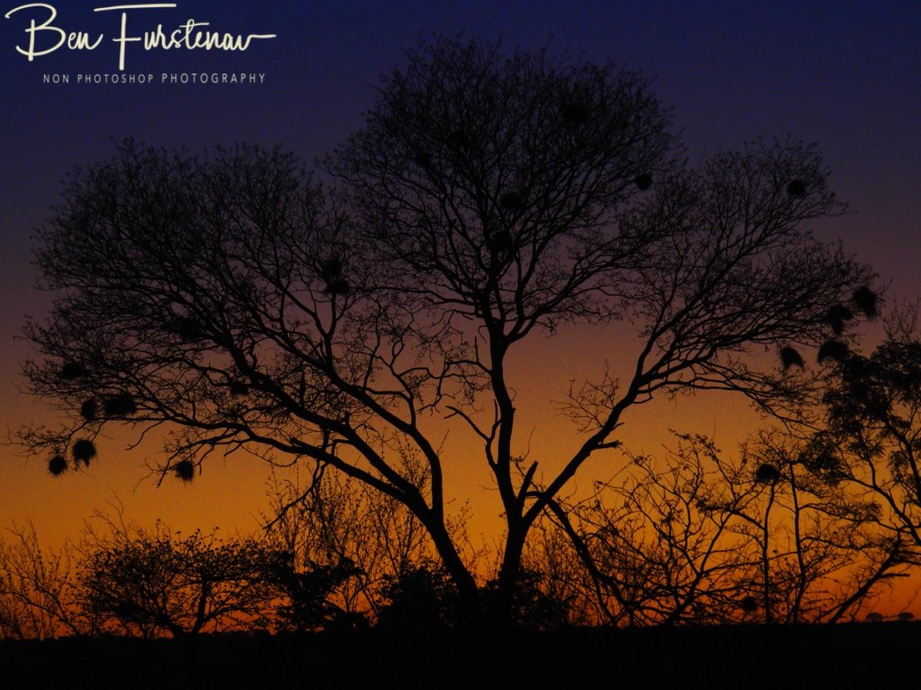 Livingstone, Zambia, Africa