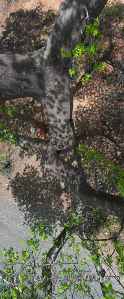 Livingstone, Zambia, Africa