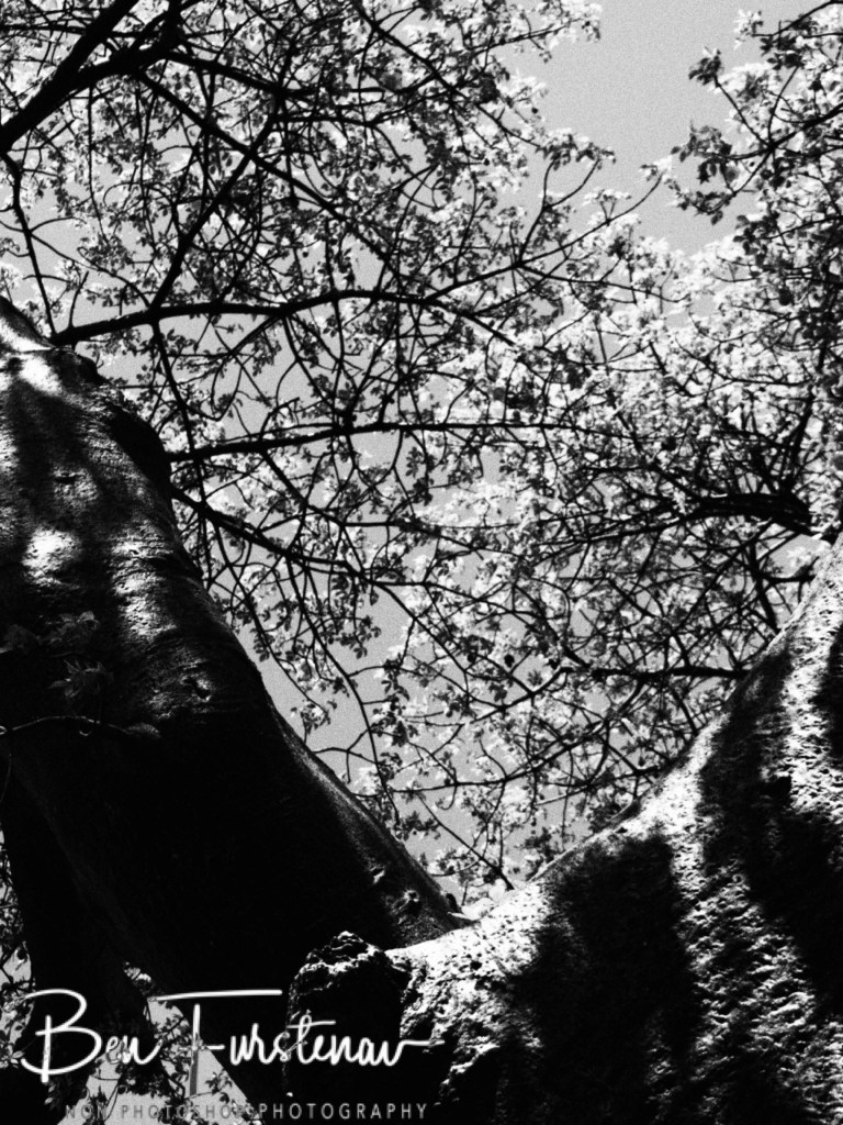 Livingstone, Zambia, Africa