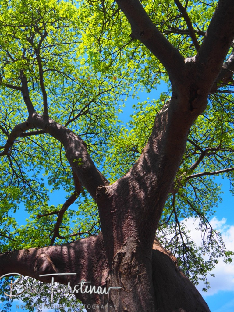 Livingstone, Zambia, Africa