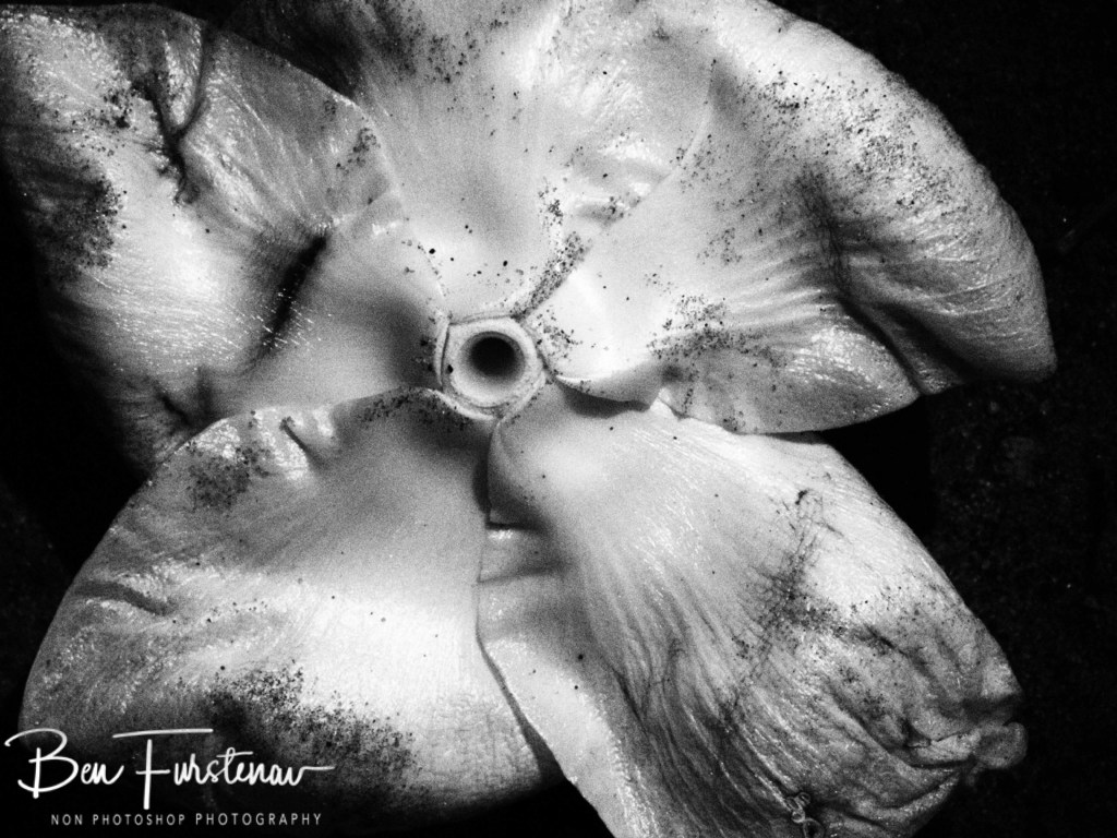 Livingstone, Zambia, Africa