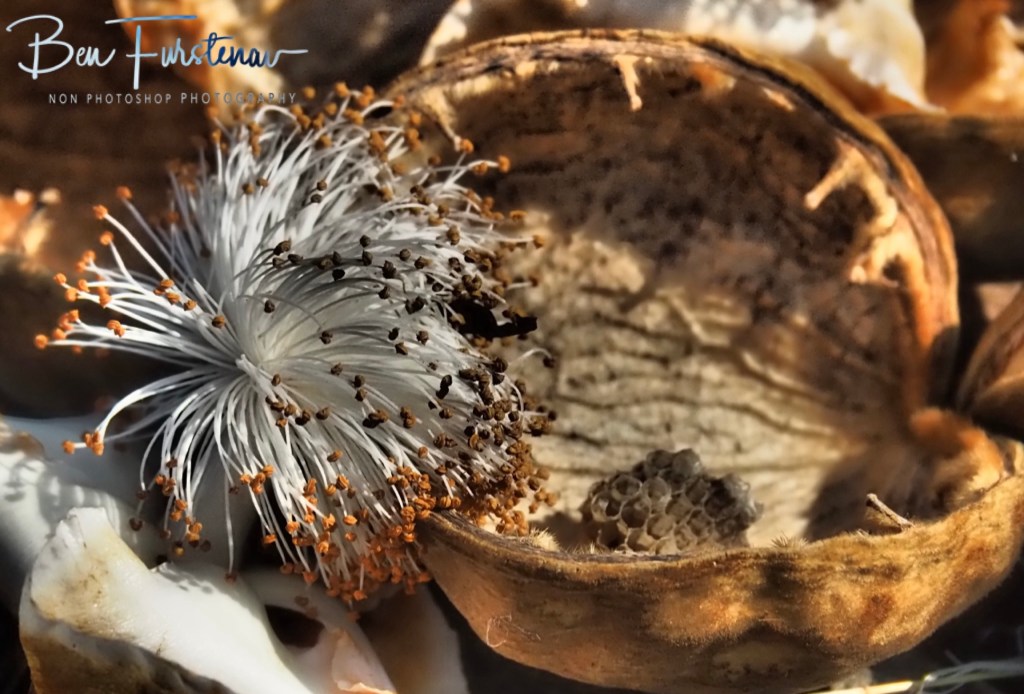 Livingstone, Zambia, Africa