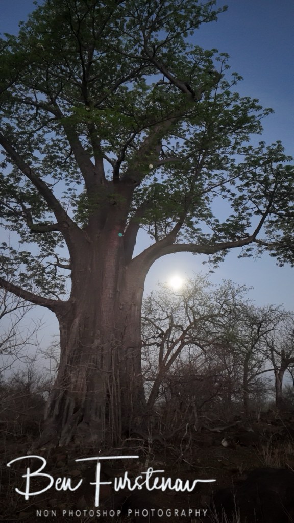 Livingstone, Zambia, Africa