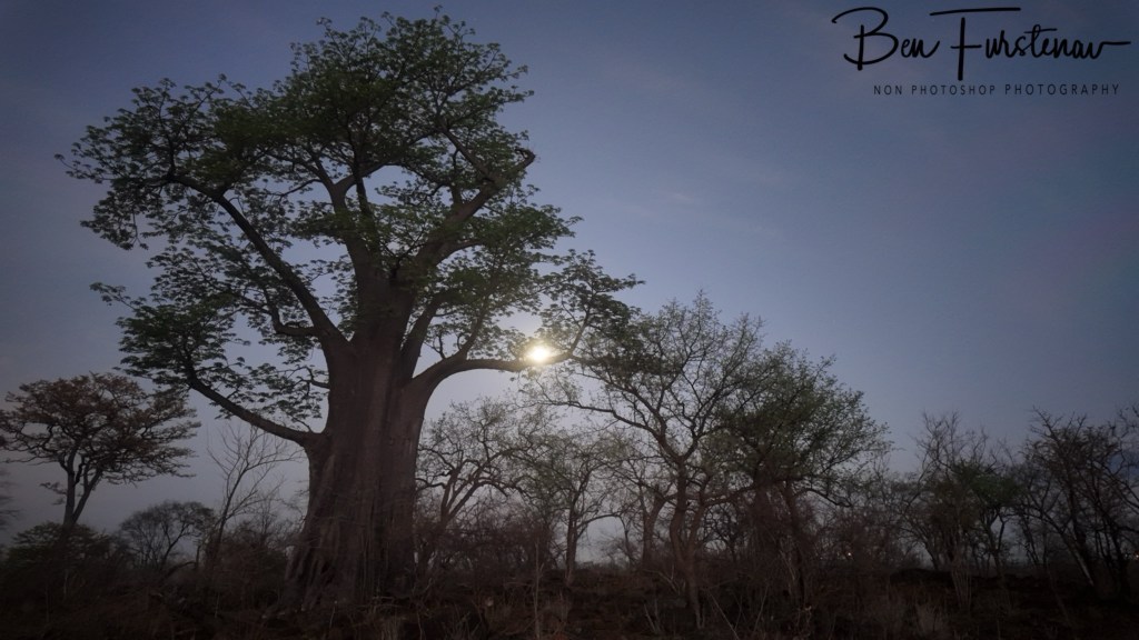 Livingstone, Zambia, Africa