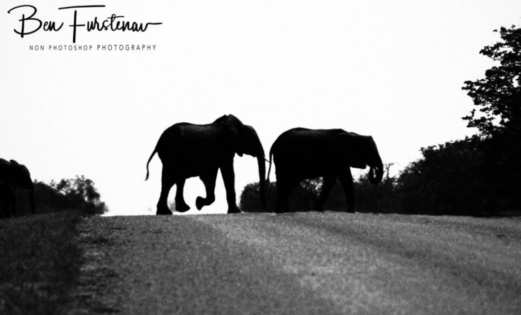 Chobe, Kasane, Botswana, Africa