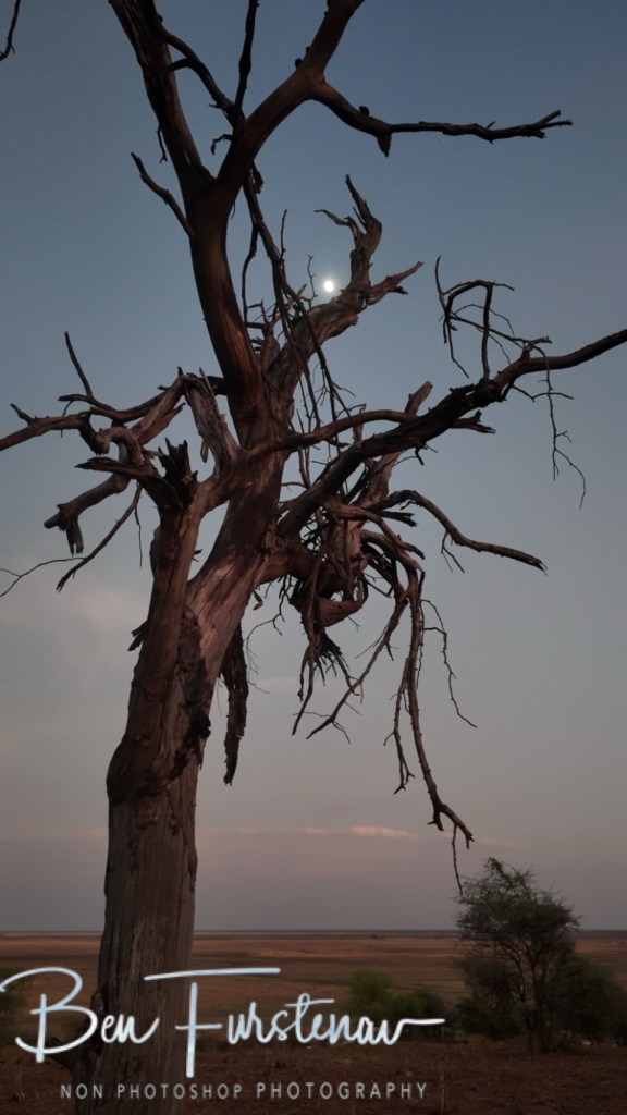 Chobe, Kasane, Botswana, Africa