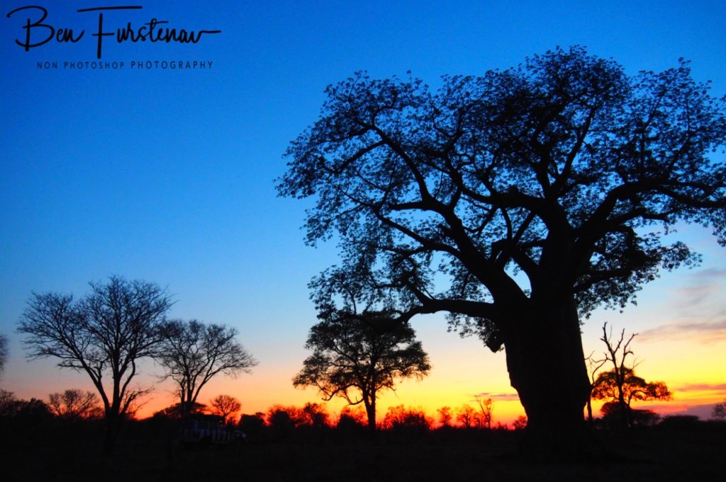 Chobe, Kasane, Botswana, Africa