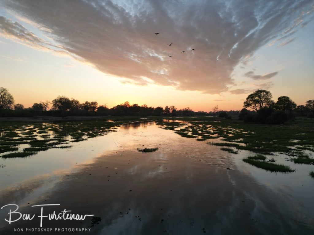 Okavango, Botswana, Africa
