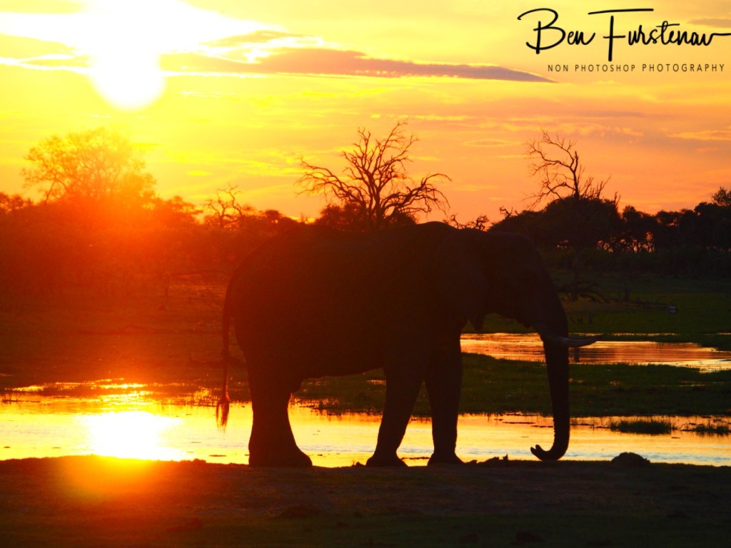 Okavango, Botswana, Africa