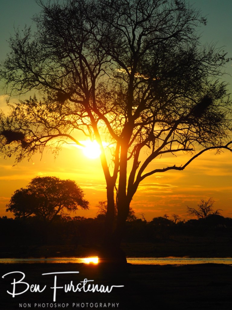 Okavango, Botswana, Africa