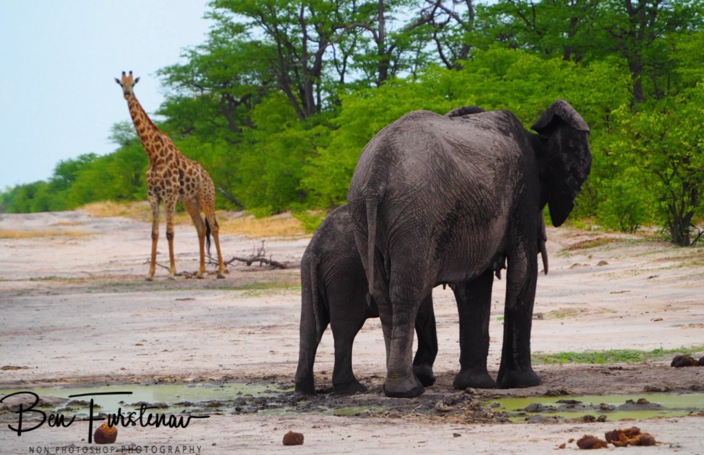Okavango, Botswana, Africa