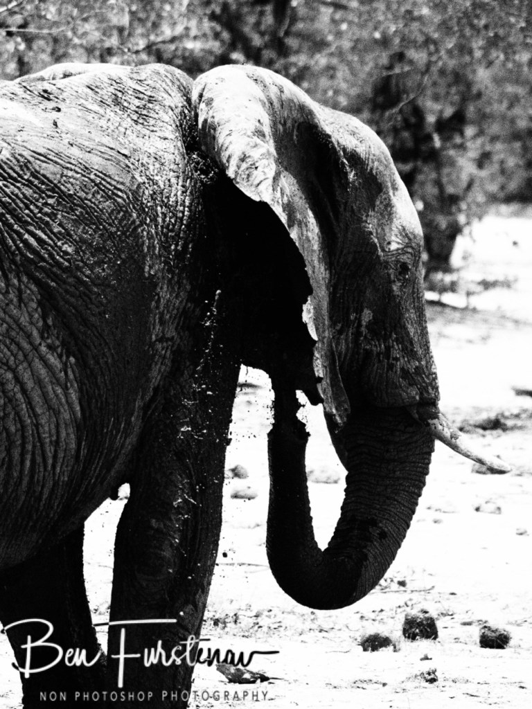 Okavango, Botswana, Africa