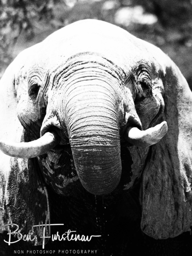 Okavango, Botswana, Africa