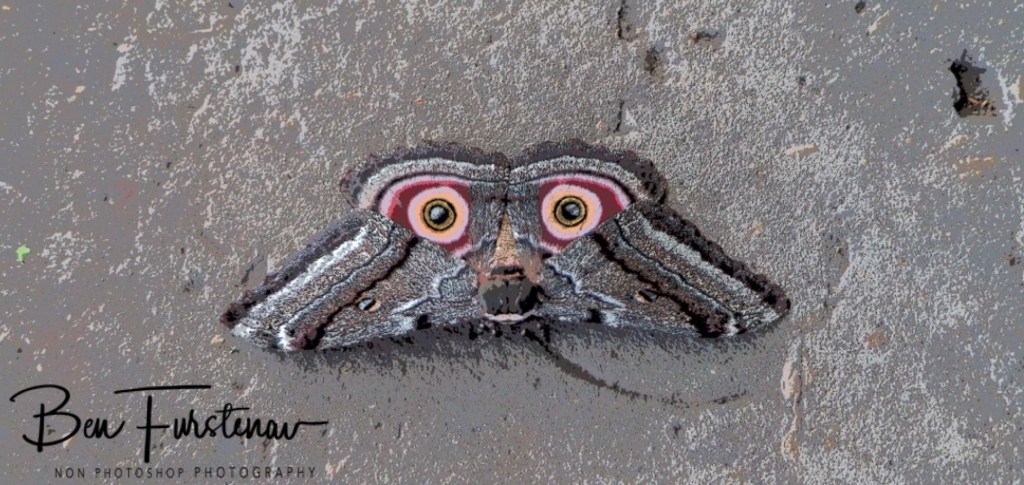 Okavango, Botswana, Africa