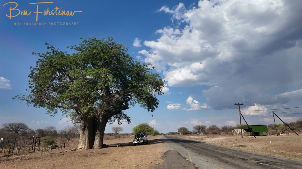 Okavango, Botswana, Africa