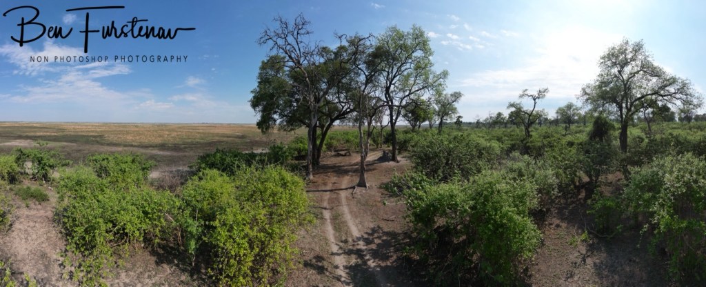Linyanti, Okavango, Botswana, Africa