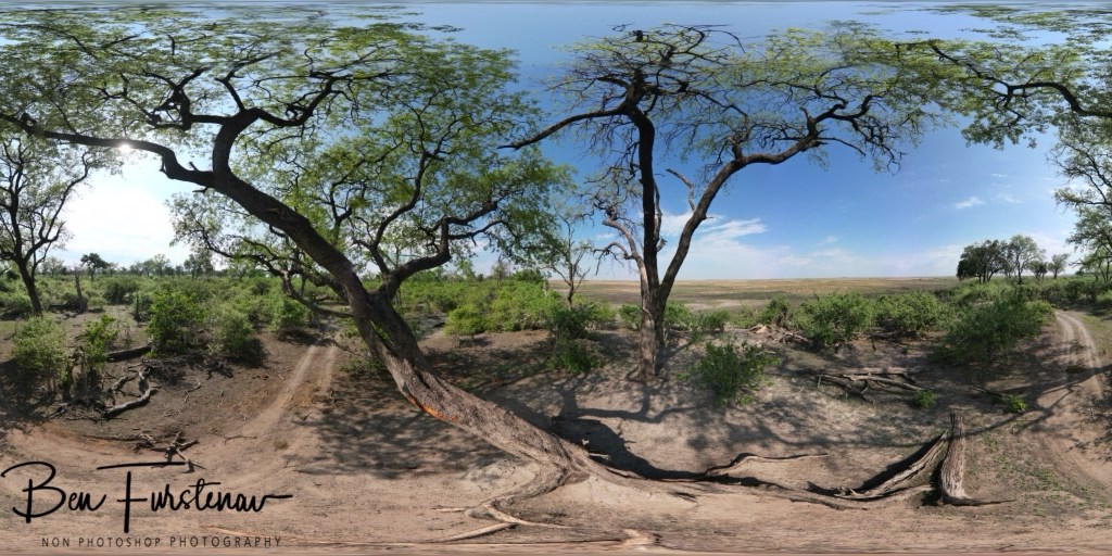 Linyanti, Okavango, Botswana, Africa