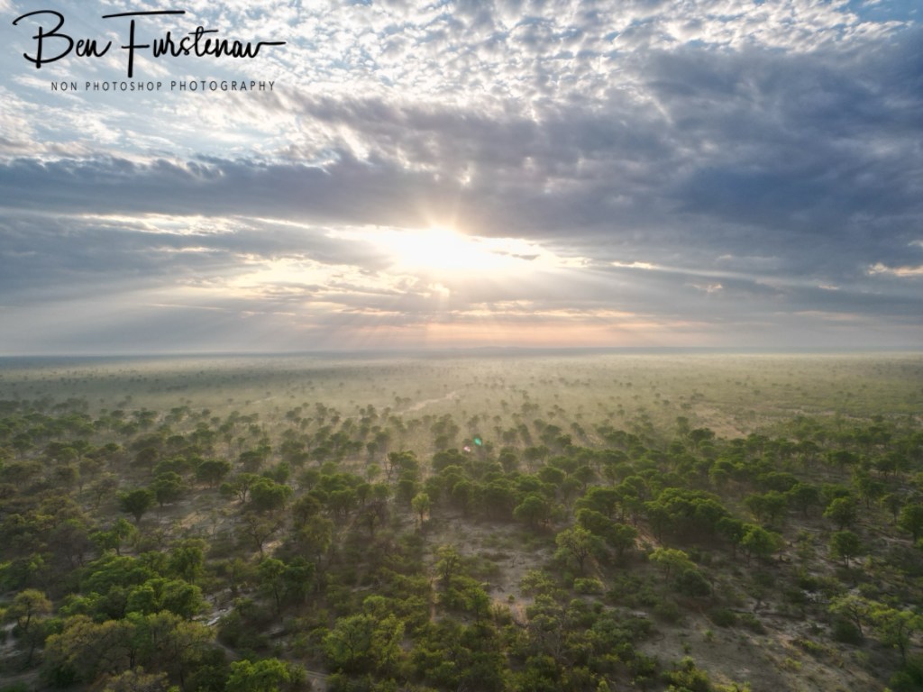 Linyanti, Okavango, Botswana, Africa