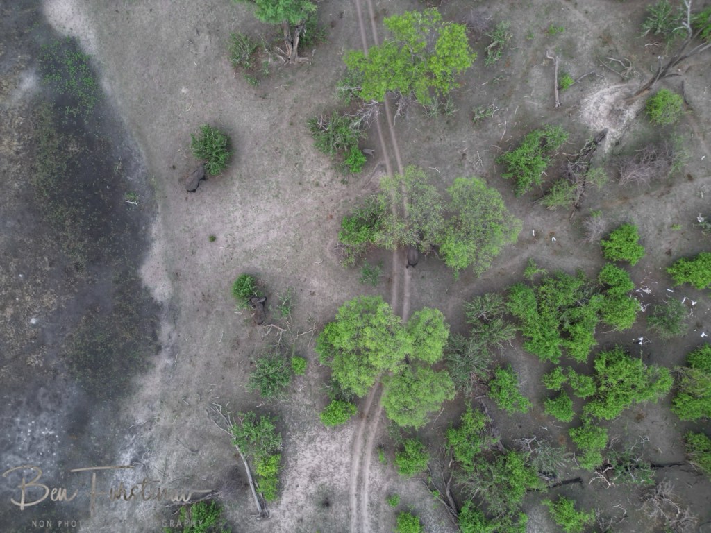 Linyanti, Okavango, Botswana, Africa