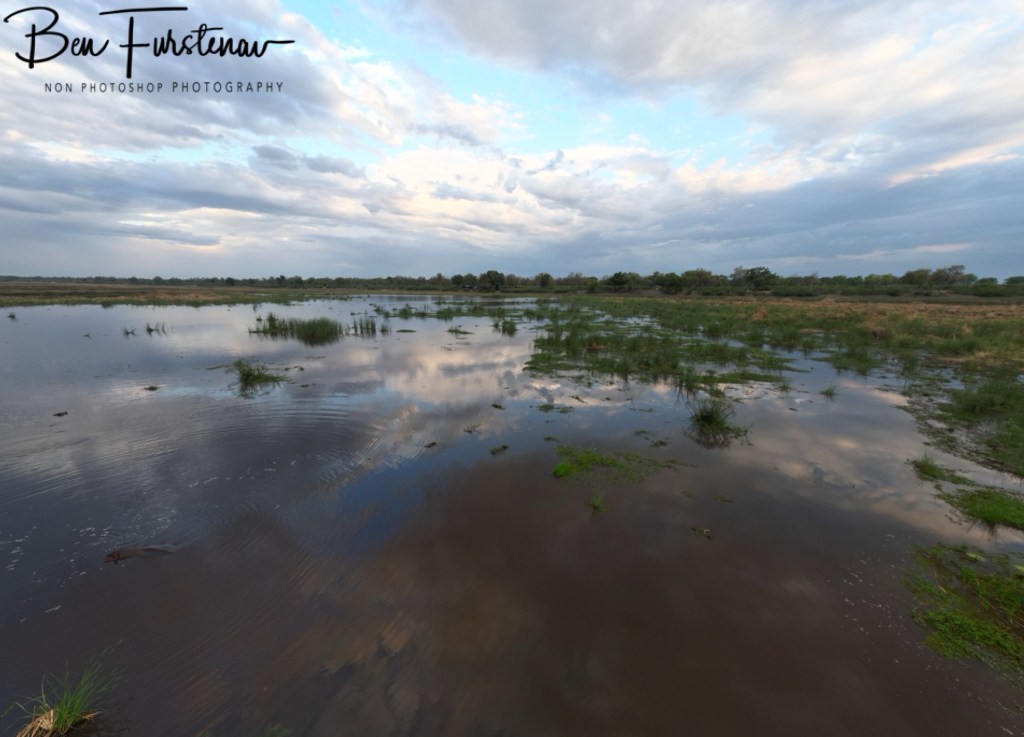Linyanti, Okavango, Botswana, Africa