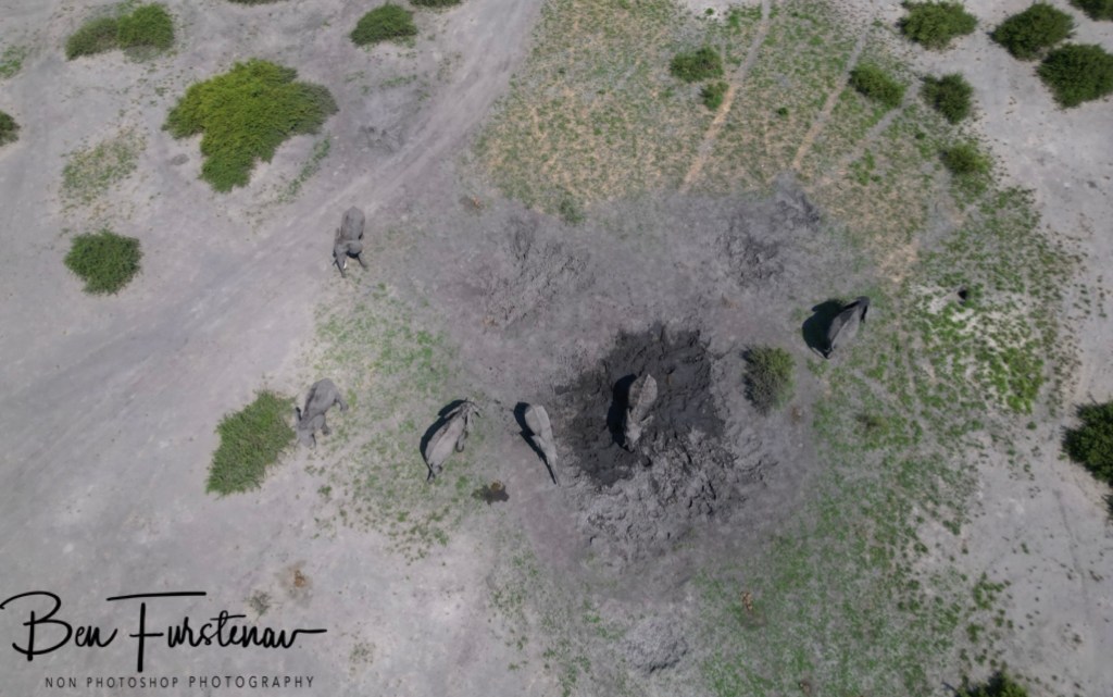 Savuti, Okavango, Botswana, Africa