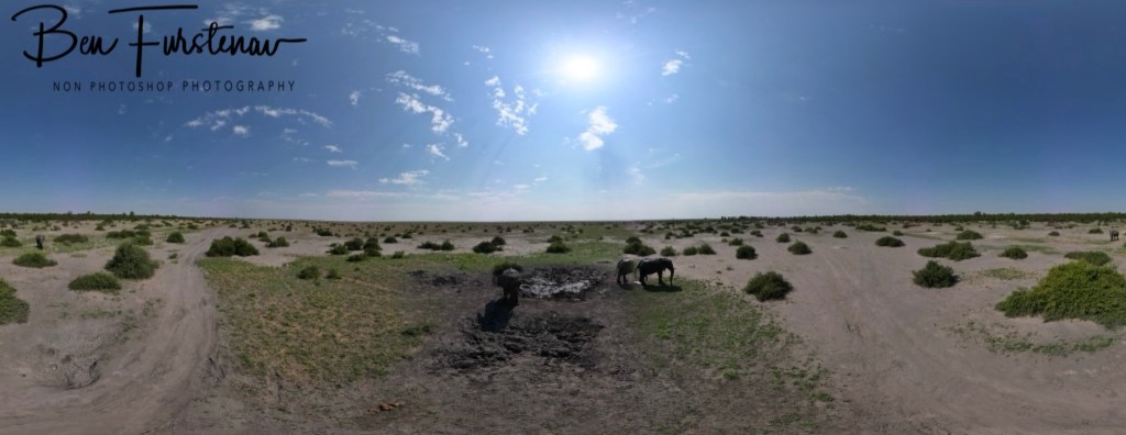 Savuti, Okavango, Botswana, Africa
