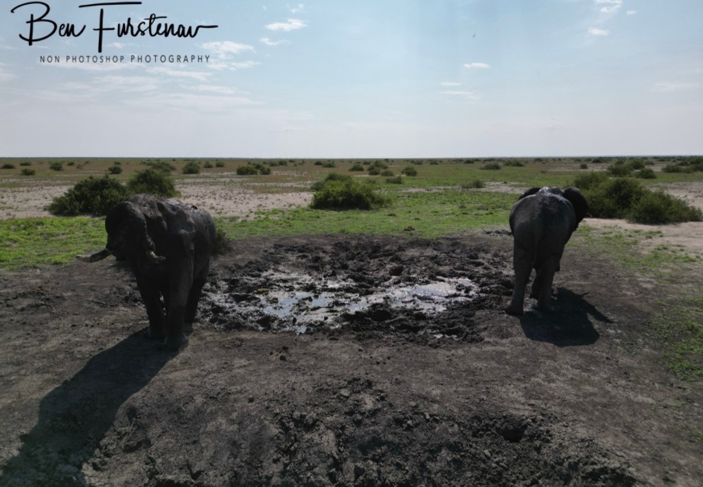 Savuti, Okavango, Botswana, Africa