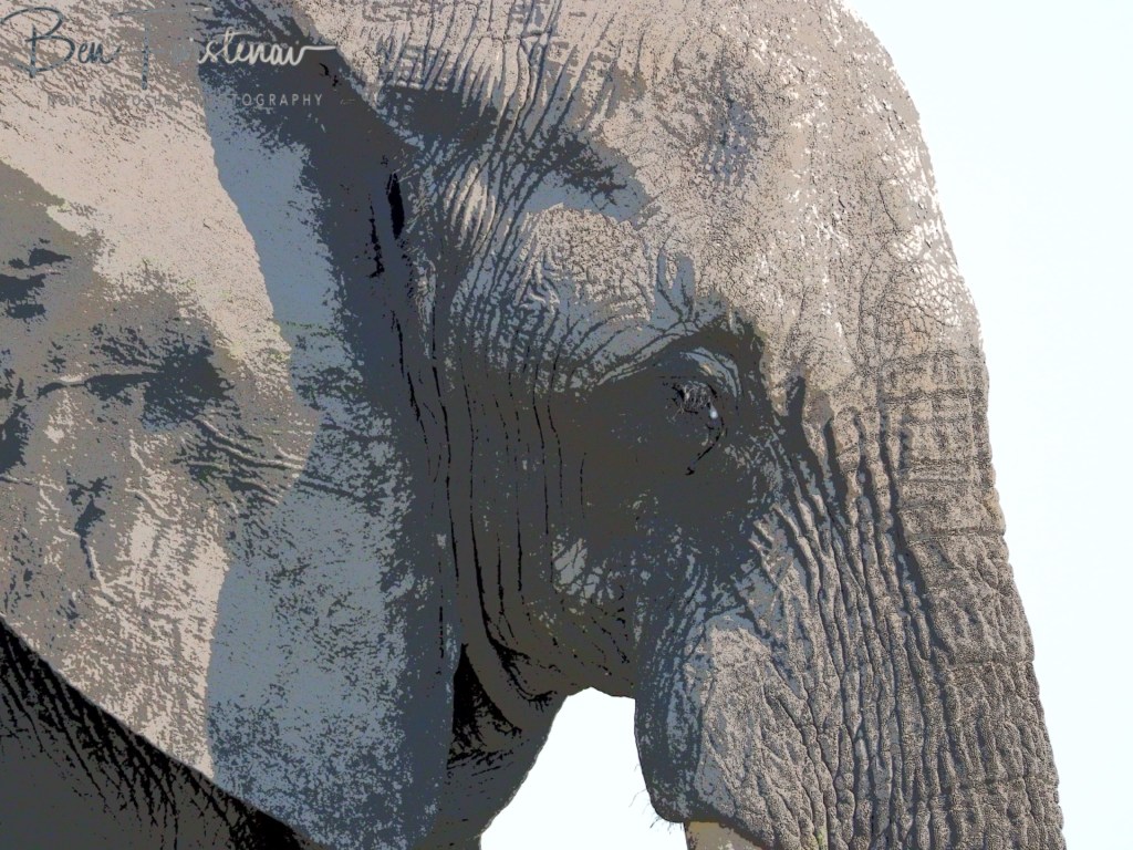 Savuti, Okavango, Botswana, Africa