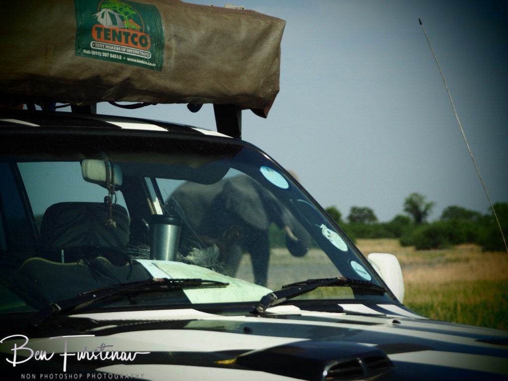 Savuti, Okavango, Botswana, Africa