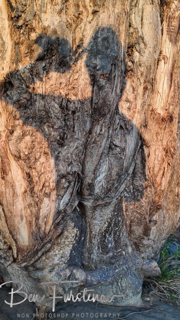 Savuti, Okavango, Botswana, Africa