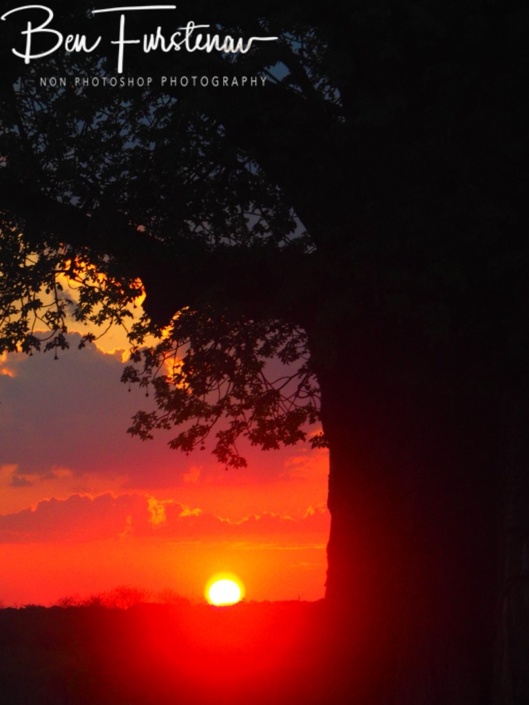 Savuti, Okavango, Botswana, Africa
