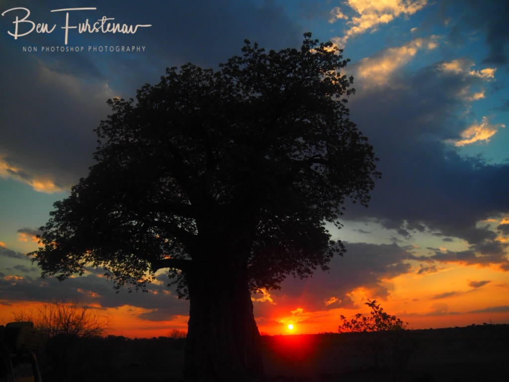 Savuti, Okavango, Botswana, Africa
