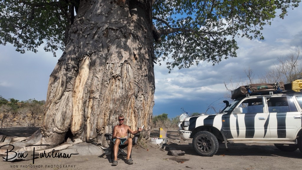 Savuti, Okavango, Botswana, Africa