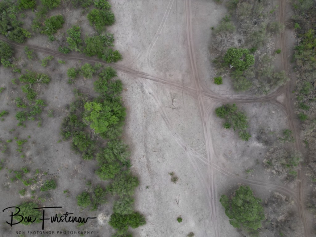 Savuti, Okavango, Botswana, Africa