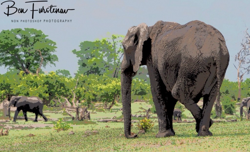 Khwai River, Okavango, Botswana, Africa