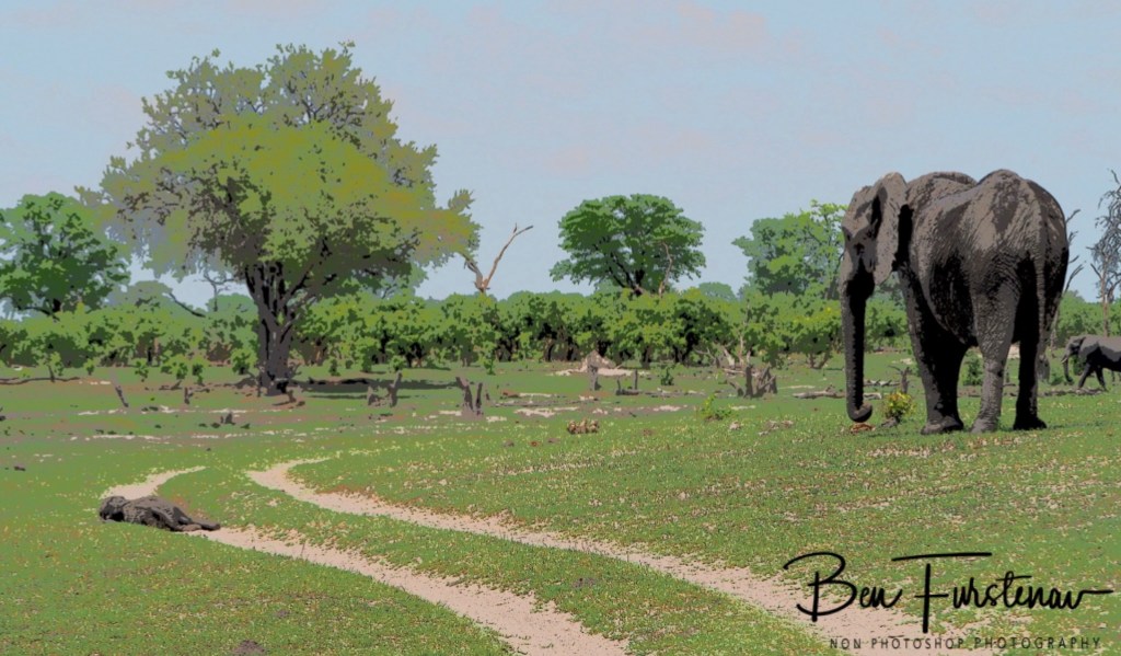 Khwai River, Okavango, Botswana, Africa