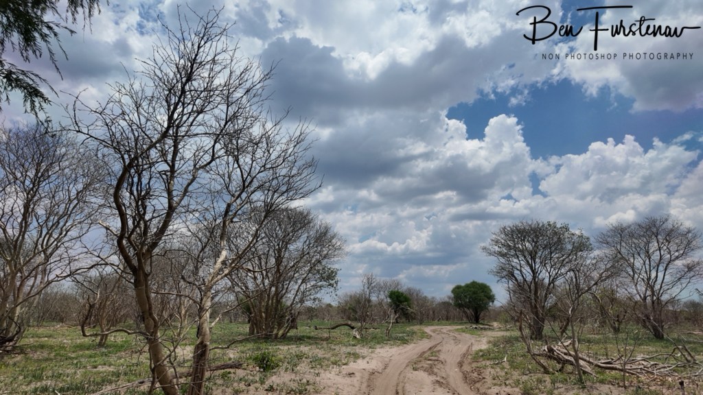 Khwai River, Okavango, Botswana, Africa