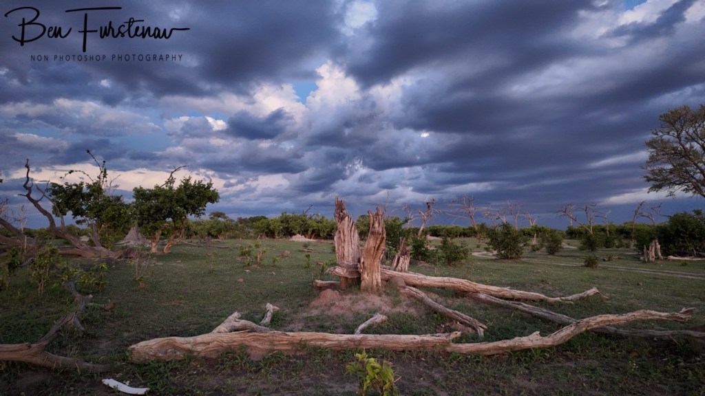 Khwai River, Okavango, Botswana, Africa