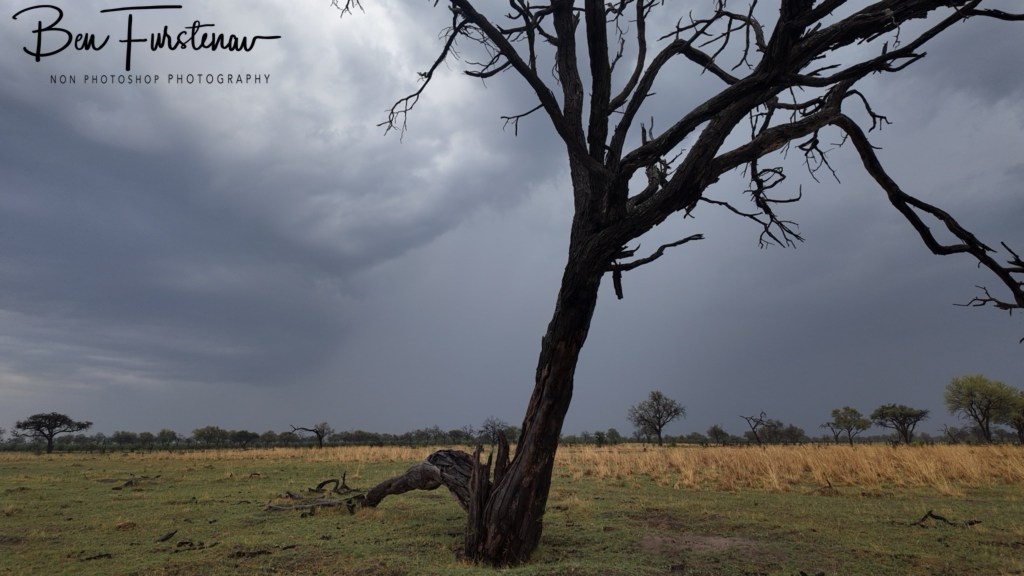 Khwai River, Okavango, Botswana, Africa