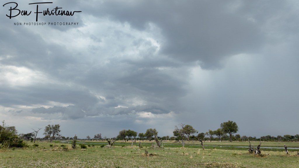 Khwai River, Okavango, Botswana, Africa