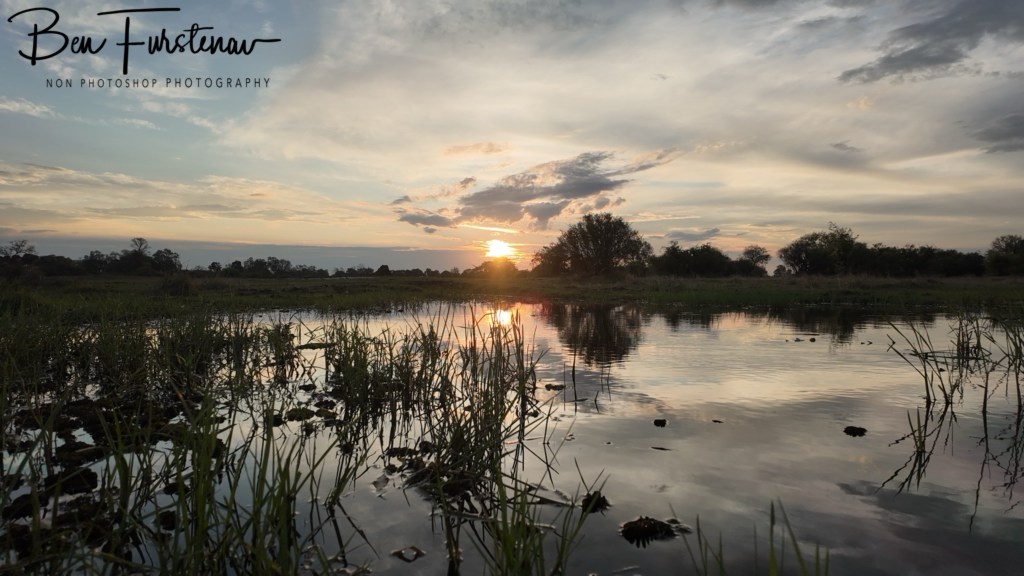 Khwai River, Okavango, Botswana, Africa