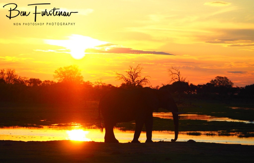 Khwai River, Okavango, Botswana, Africa