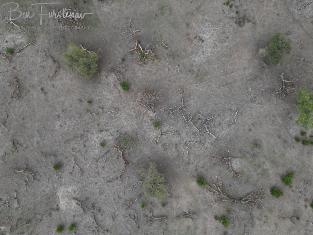 Khwai River, Okavango, Botswana, Africa